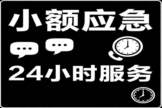 上海个人急用钱私人贷快速借钱 小额应急借款